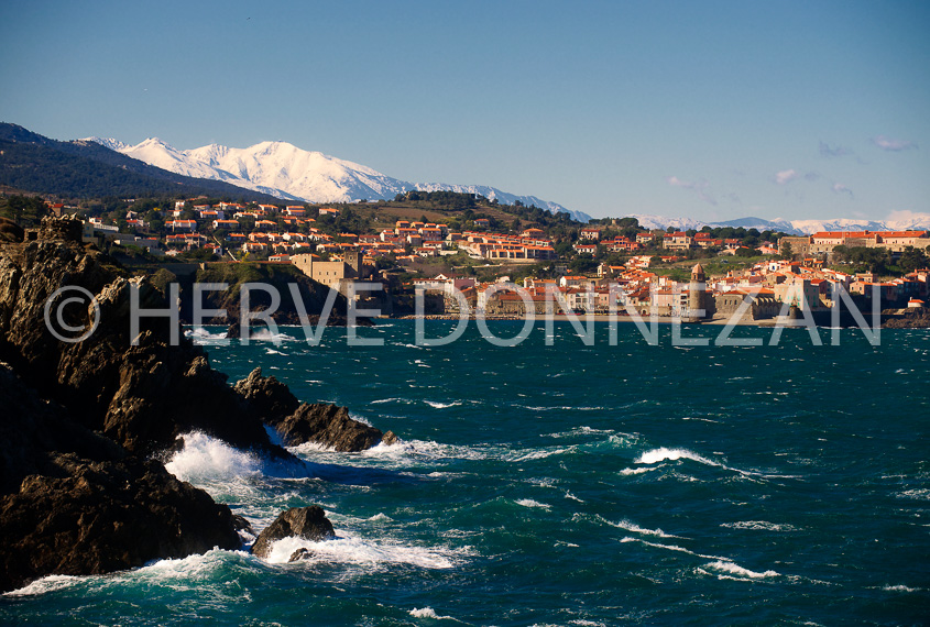 3446_94368_COLLIOURE_CANIGOU