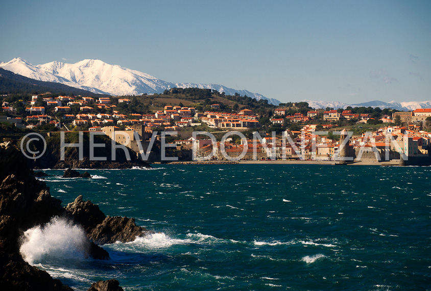 3447_94377_COLLIOURE_CANIGOU