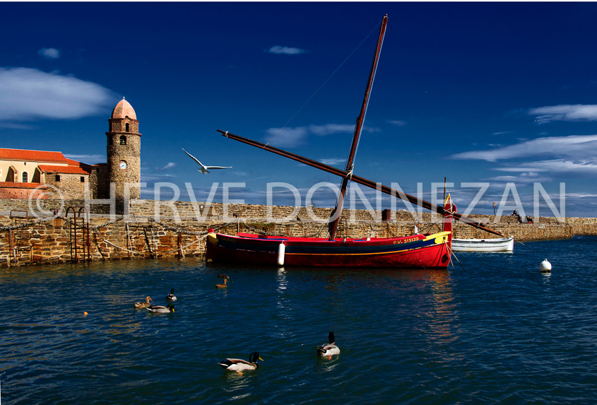 3508_0371_COLLIOURE_PORT_MOUETTES