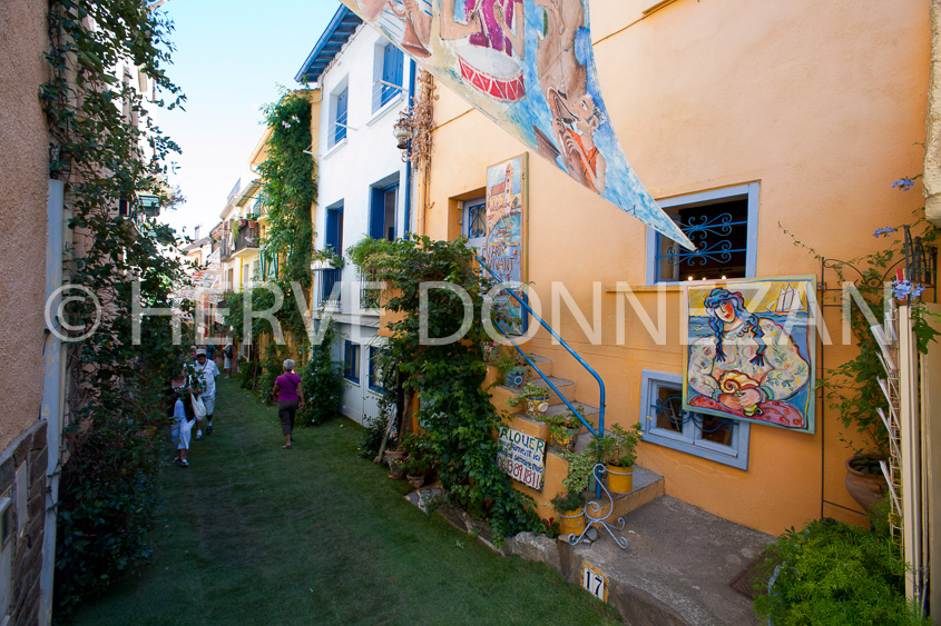 3596_2661_COLLIOURE RUE-FRATERNITE_