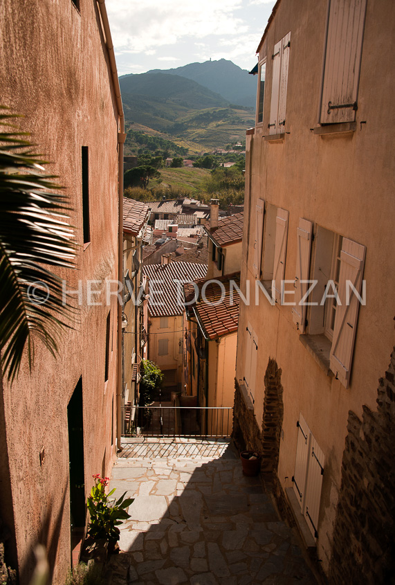 3643-5261_COLLIOURE_RUE