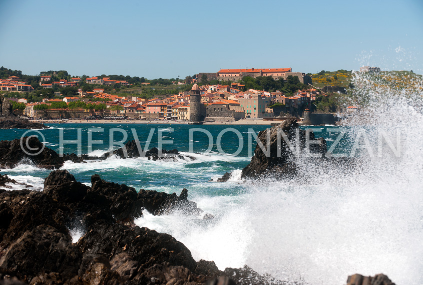 4051_8290_COLLIOURE_TRAM