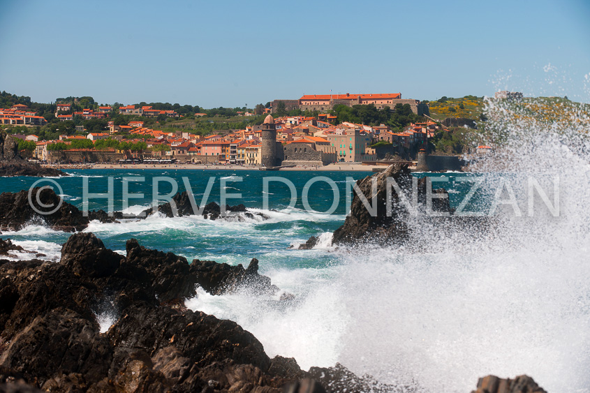 4239_8290_COLLIOURE_TRAM