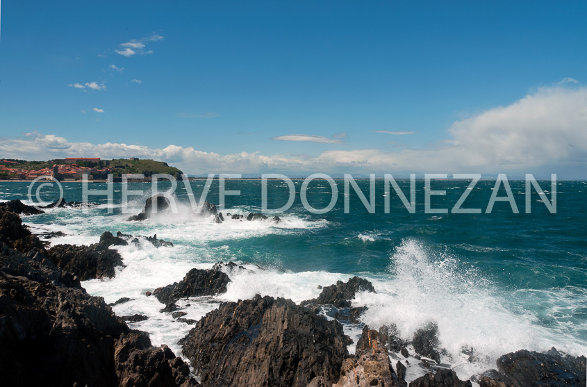 4242_8439_COLLIOURE_TRAM