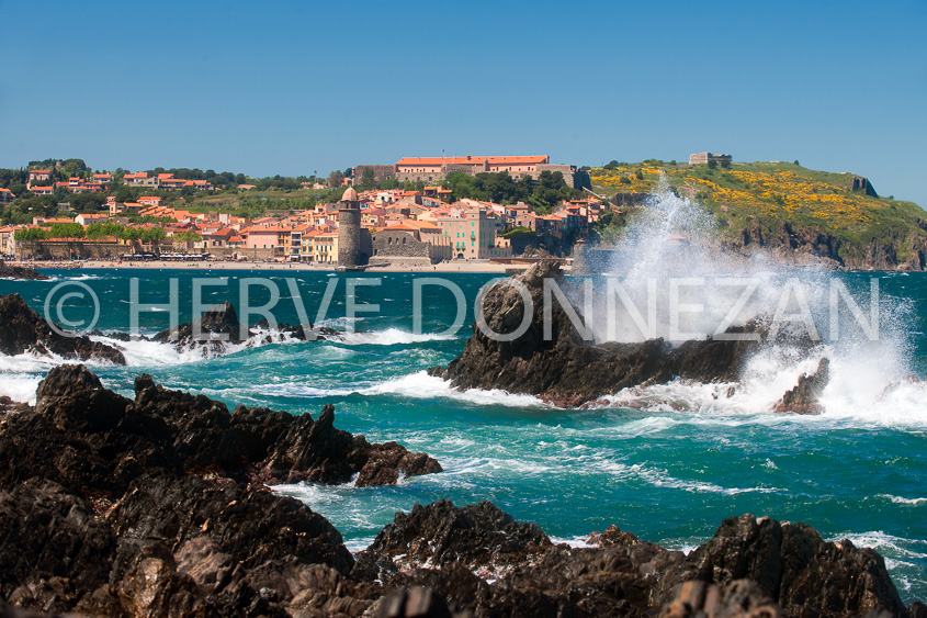 4245-8293_COLLIOURE VAGUES