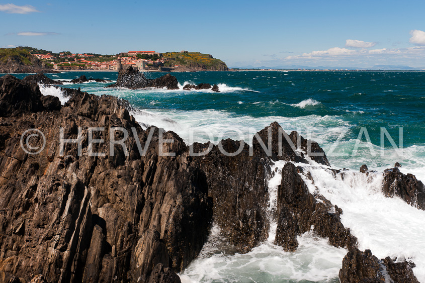 4247_8197_COLLIOURE VAGUES