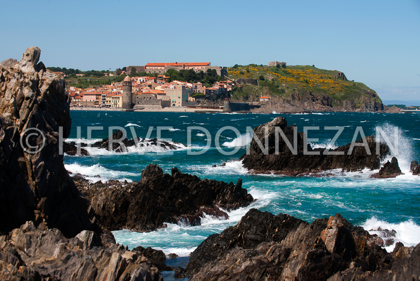 4248_8170_COLLIOURE_VAGUES