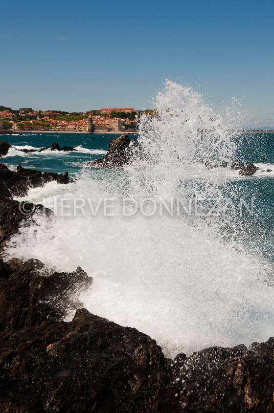 4263_8271_COLLIOURE VAGUES