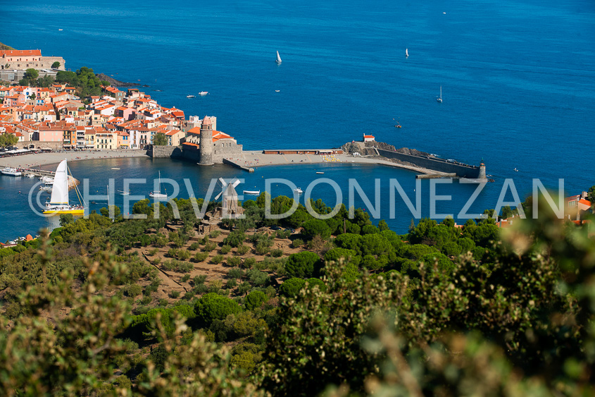 4267_5171_COLLIOURE_BAIE