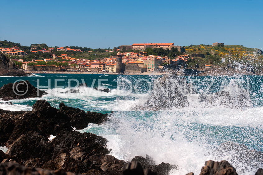 4285_8295_COLLIOURE_TRAM