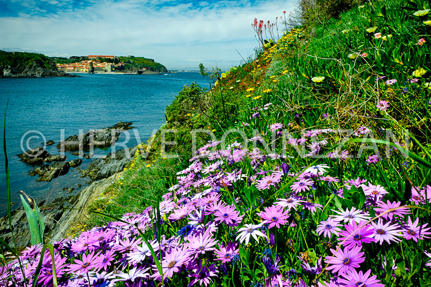 4316_2246_COLLIOURE_HDR