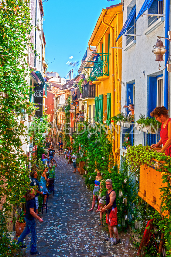 4337_8721 COLLIOURE_FRATERNITE
