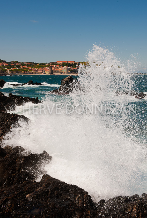 4437_8271_COLLIOURE VAGUES