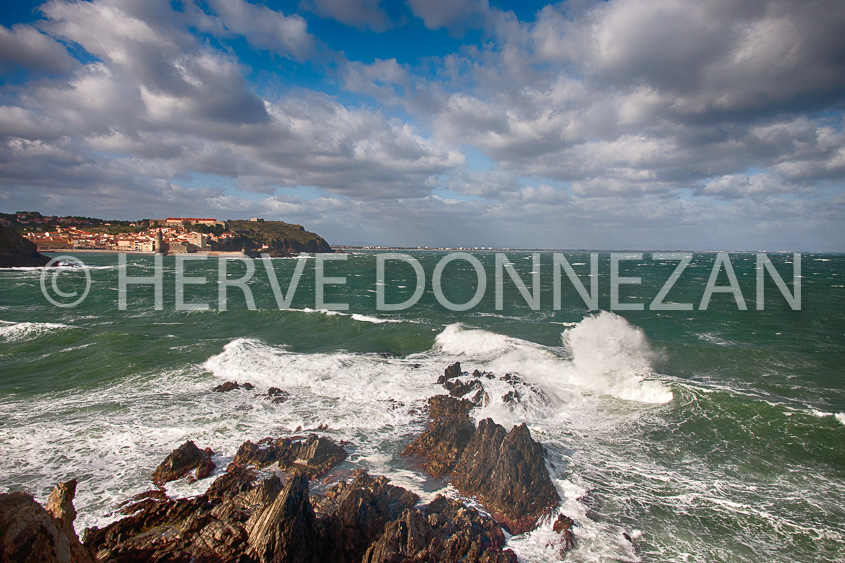 4449_4766_COLLIOURE_TRAM_HDR