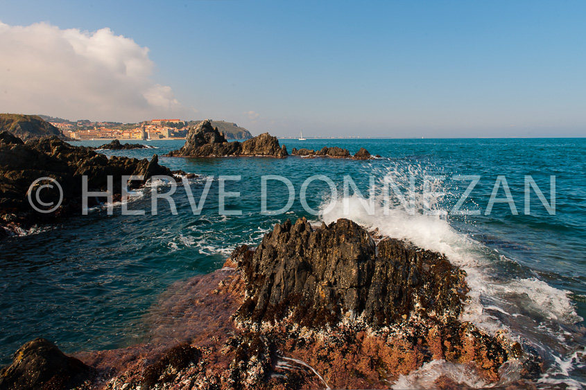 4491_9353_MARINE_COLLIOURE