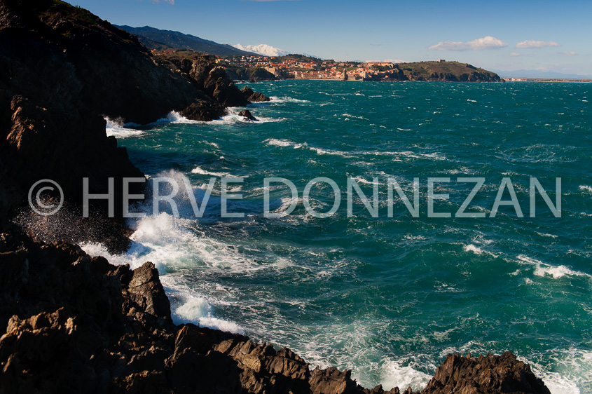 4522_94390_COLLIOURE_CANIGOU