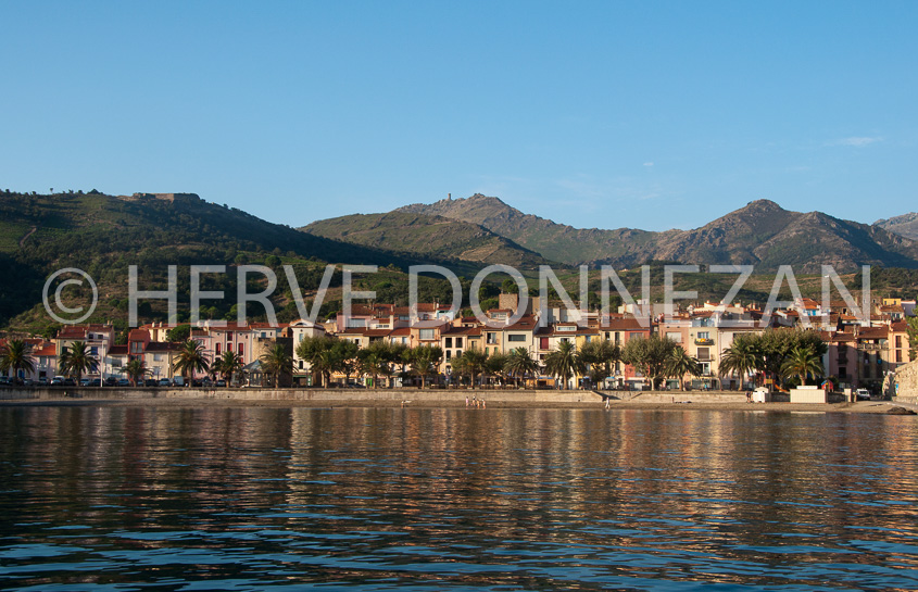 4541_91788_COLLIOURE_FAUBOURG