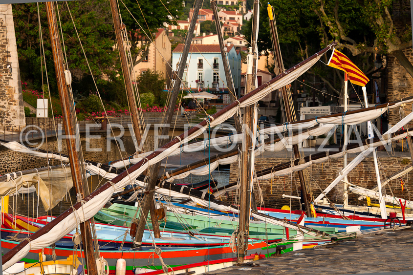 4564_0075_COLLIOURE_CATALANE_SOLA