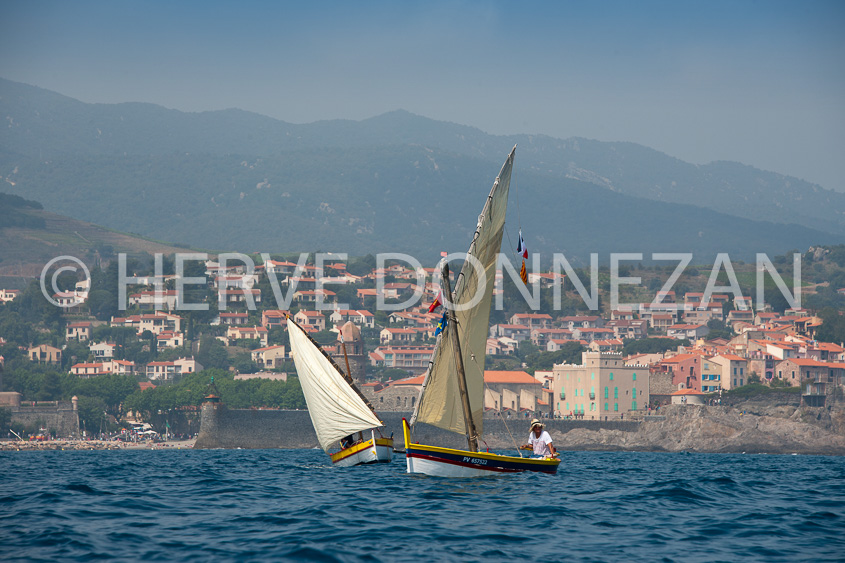 4569_0179_COLLIOURE_CATALANES