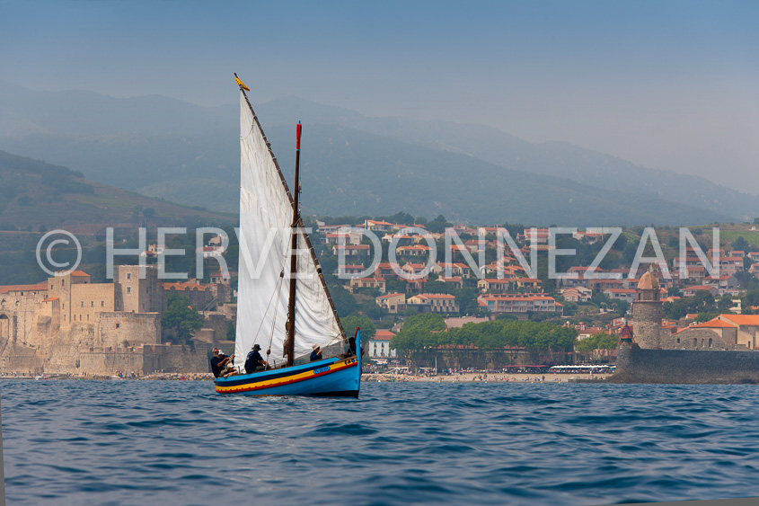 4577_0231_COLLIOURE_CATALANE