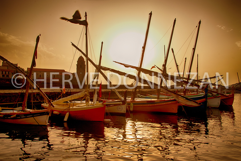 4875_56_COLLIOURE-PORT_CATALANES_MOUETTES_HDR