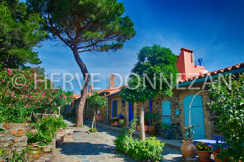 5000_7015_COLLIOURE_MOURET_