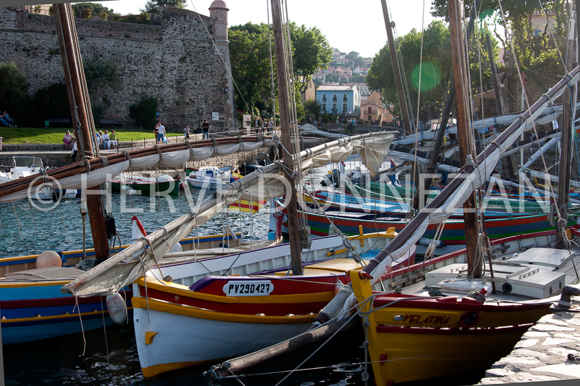 5028_9973_COLLIOURE_CATALANE