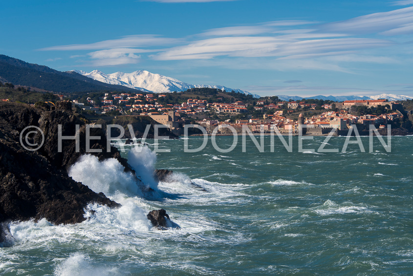 5482_0247_COLLIOURE_CANIGOU
