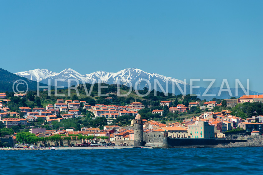 5505_8530_COLLIOURE-CANIGOU
