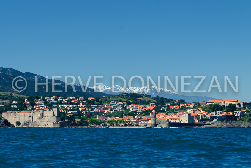 5506_COLLIOURE_CANIGOU