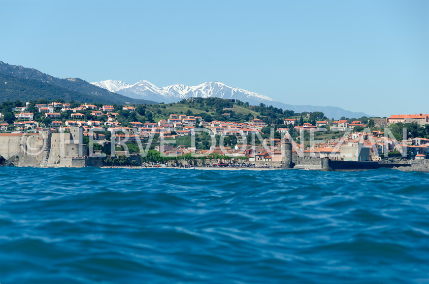 5532_8545_COLLIOURE_CANIGOU