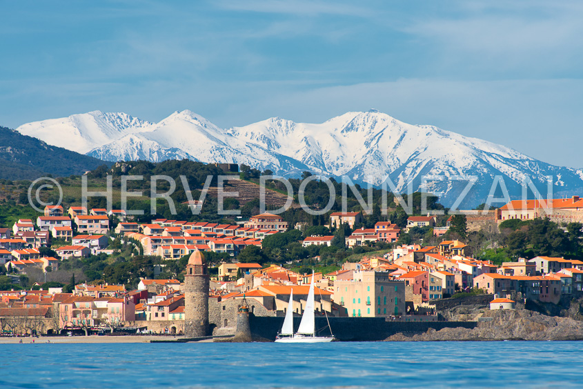 5911-0137164- COLLIOURE-CANIGOU-