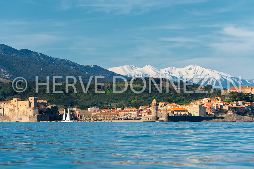 5913-0137173_ COLLIOURE-CANIGOU_POLA-R