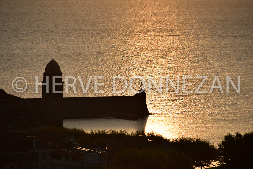 6005 -COLLIOURE-SUNRISE-
