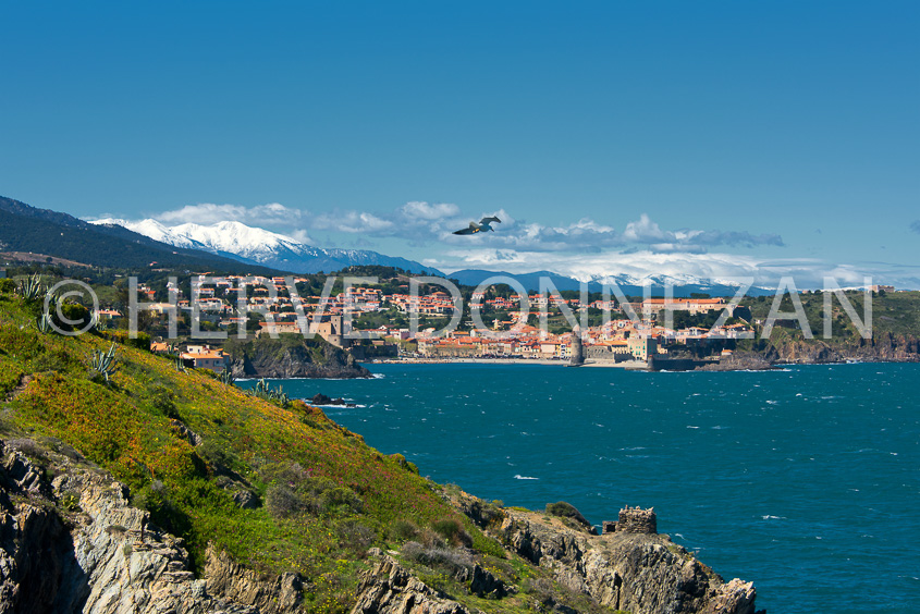 6029-0144076-COLLIOURE-PORT VENDRES MAURESQUE