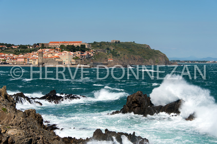 6037-0143914-COLLIOURE-VAGUES
