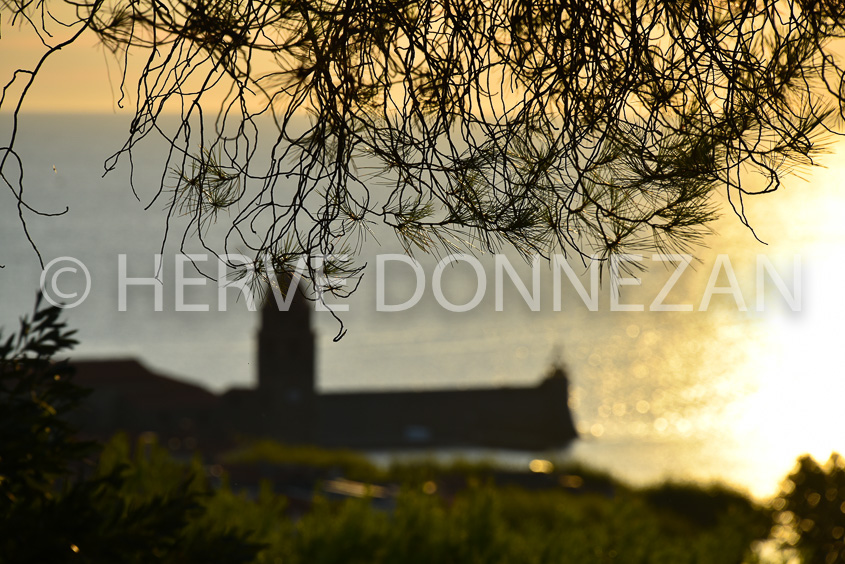 6081-COLLIOURE-SUNRISE