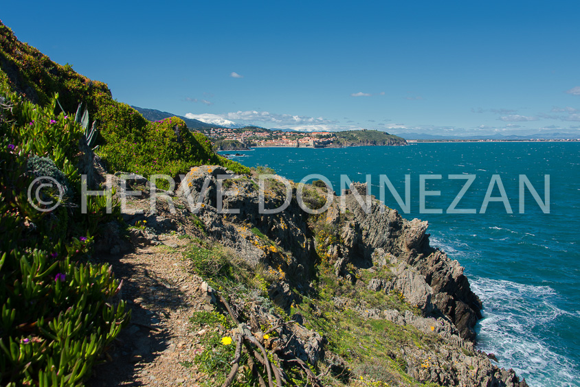 6085--0144017-COLLIOURE-VAGUES-TRAM