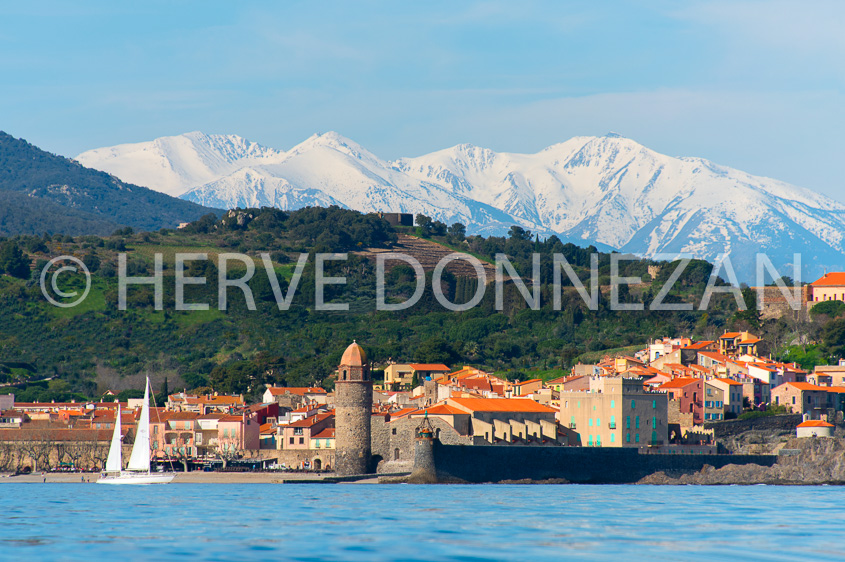 6126-0137171-COLLIOURE-CANIGOU-VOILIER-1