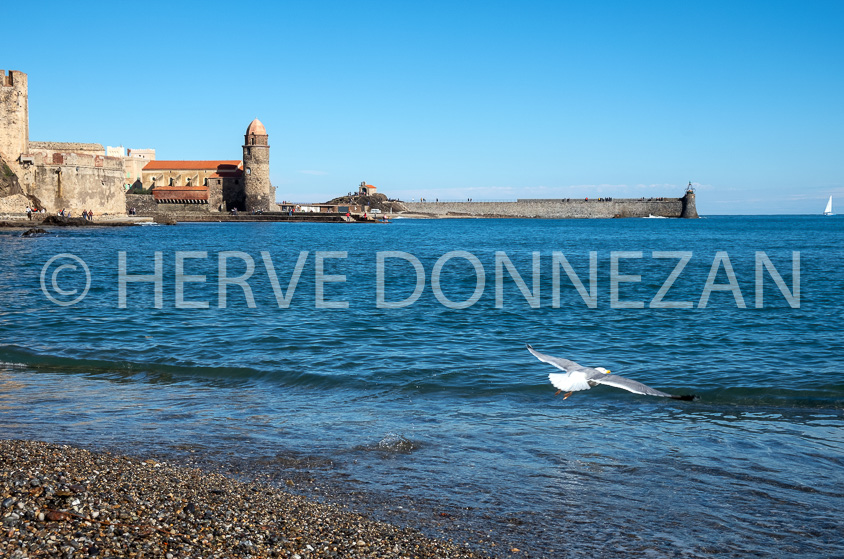 6490-0155804- COLLIOURE BLEU MOUETTE