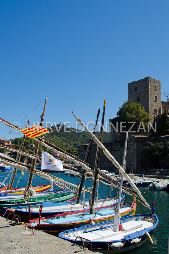 6528-9045-COLLIOURE-CHATEAU ROYAL