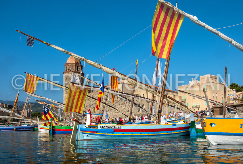 6610-0159029-COLLIOURE-CATALANE