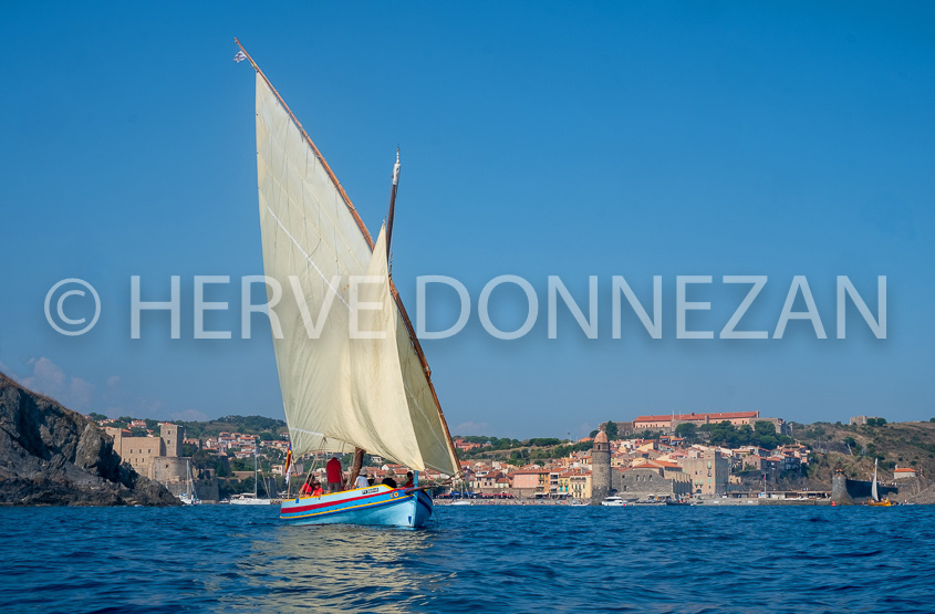 6614-0158889-COLLIOURE-CATALANE