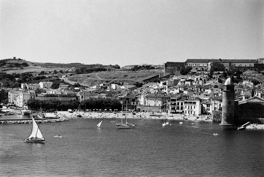 2440_COLLIOURE_CATALANE_