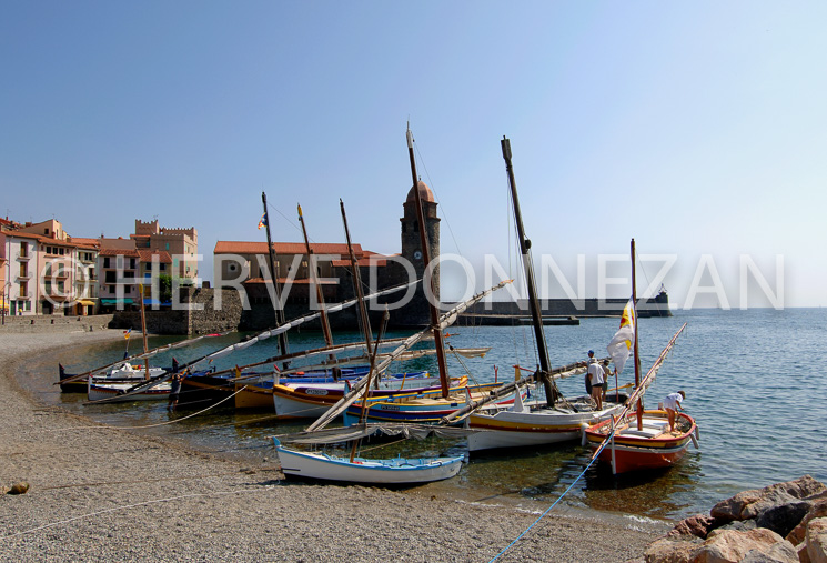 2504_66051_COLLIOURE_CATALAN