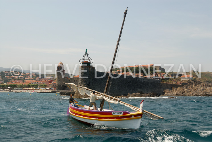 2558_66265_COLLIOURE_CATALANE