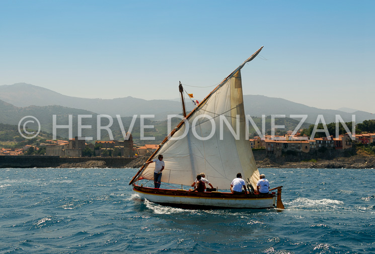 2559_66273_COLLIOURE_CATALAN