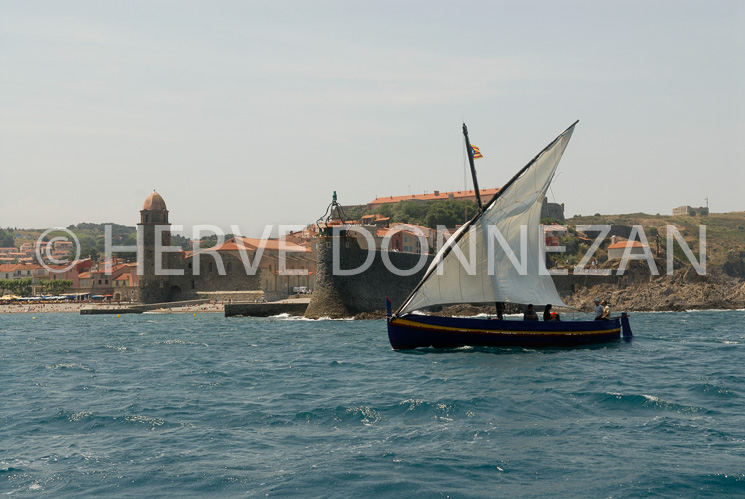 2564_66316_COLLIOURE_CATALANE.