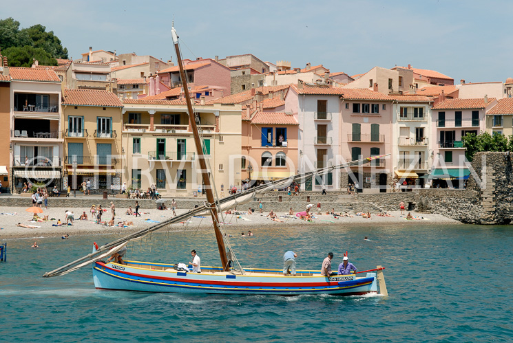 2775_66224_COLLIOURE_CATALANE_OR