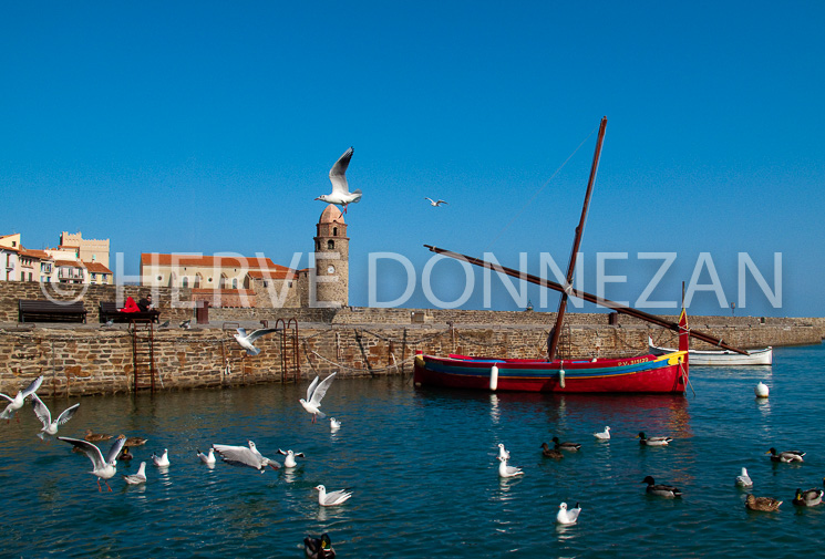 3400_0781_COLLIOURE_MOUETTE